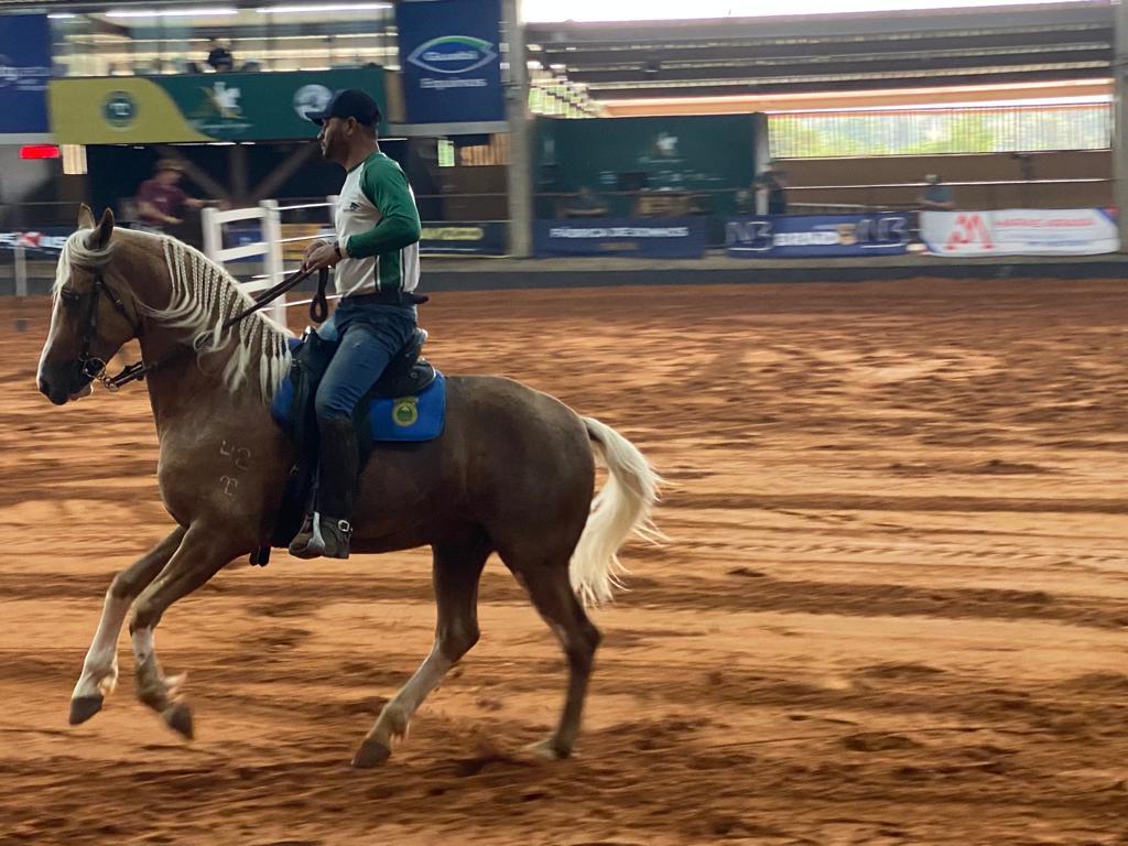 Tatuí recebe exposição de cavalos da raça mangalarga, Itapetininga e  Região